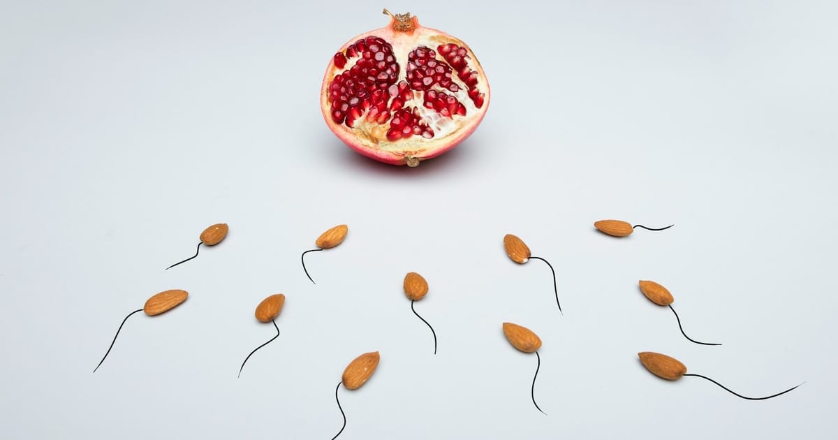 Óvulo, Espermatozoide e Janela Fértil