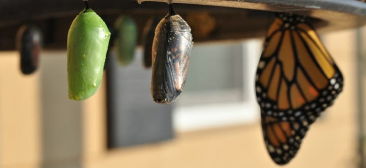 Começa a Investir no Teu Potencial